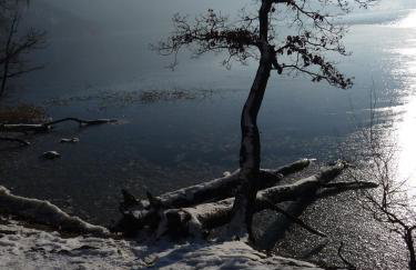 Ferienwohnung Brohltal-Aue - Foto 46