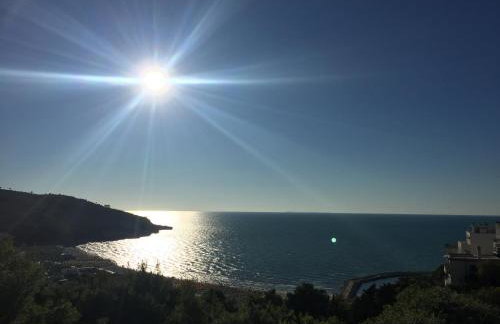 Il gabbiano, attico con terrazzo vista mare - Foto 16