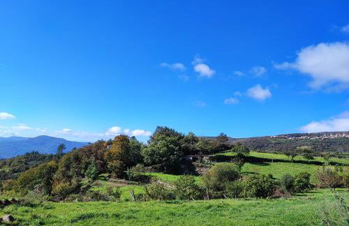 Casa da Avó - Foto 35