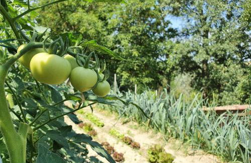 Agriturismo Il Burlino Apartments - Foto 65