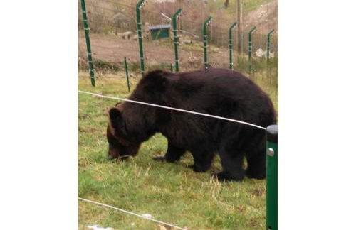 Bromberger Comfortable holiday residence - Foto 20