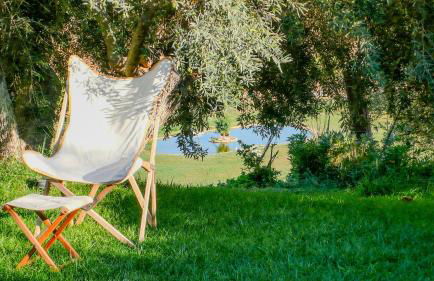 Tenuta Bartoli - Foto 21