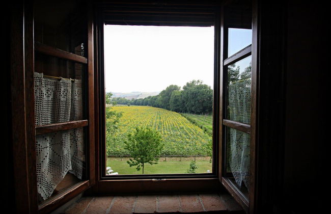 Agriturismo Le Spighe - Foto 68