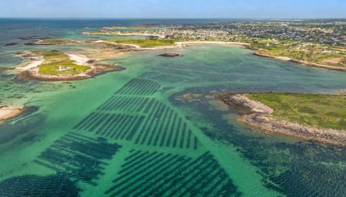 Les Terrasses de la Palud - Foto 4