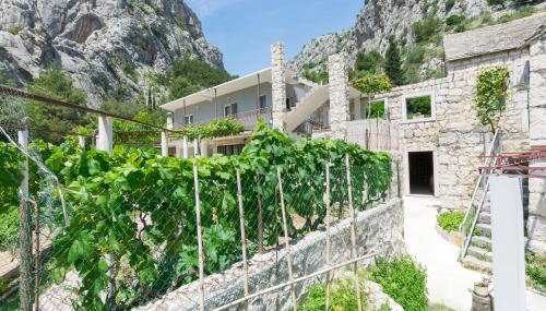 Apartments Petea Omis - Photo 4