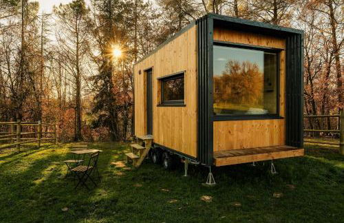 Homnest - Clairiere des Animaux - 1h de Toulouse - Photo 1