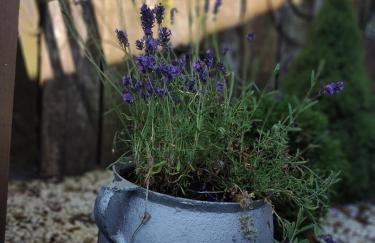 Makowy domek - Foto 24