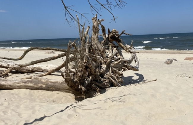 Willa Słoneczko - Foto 77