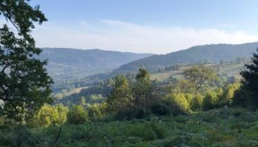 Cozy chalet in the Vosges with scenic views - Foto 2