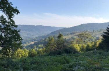 Cozy chalet in the Vosges with scenic views - Foto 2