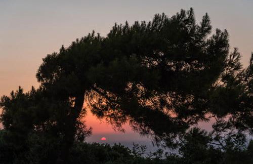 Villa Russelia - Foto 55