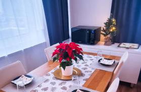 Apartment Hannover - Langenhagen center - Foto 30