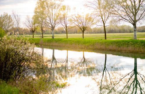 Residence Stradella Verde - Photo 59