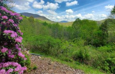 Appalachian View - Photo 21