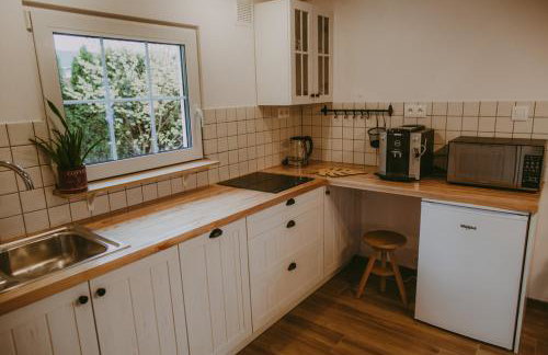 Domek Chmury i Góry w Karkonoszach - Foto 11