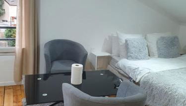 Studio pratique CDG/Villepinte/ le Bourget - Foto 3