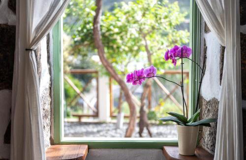 Casa rural Bejeque - Foto 36