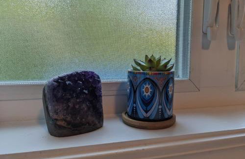 Robin's Nest 2BR at Duke Regional - Foto 19