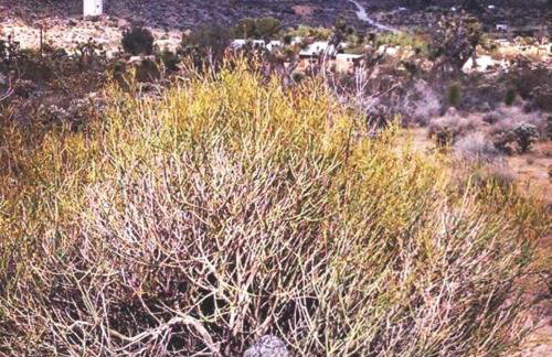 Steph's Panorama Paradise-Nat'l Park minutes away - Foto 47