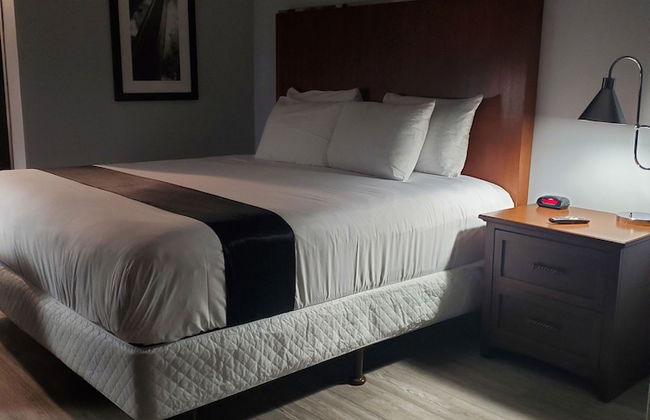 Happy Bay - Photo 12