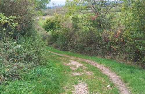 Gite la Tourterelle en Auvergne - Photo 38