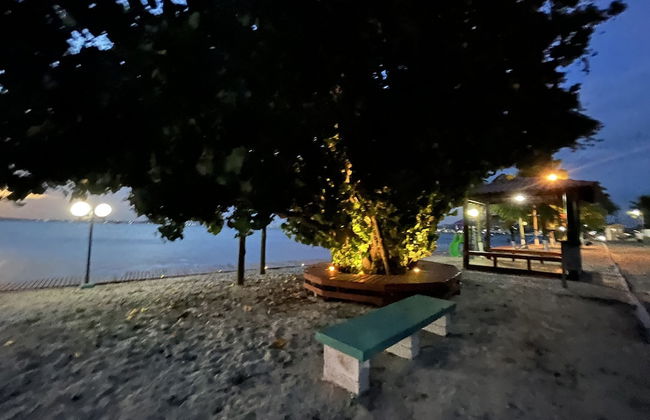 Casa Palmer - Photo 28