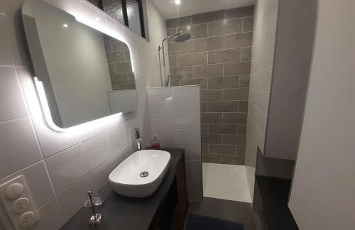 Classé 4 étoiles - Cybèle - Centre ville 2 Chambres, cour privative et Garage - Foto 10