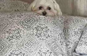 Lovely studio annex in Lilliput - Photo 23