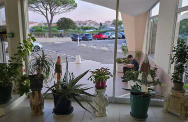 Coquet T 2 Le barcares Mer - Foto 29