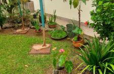Apartamentos Ubatuba - Foto 61