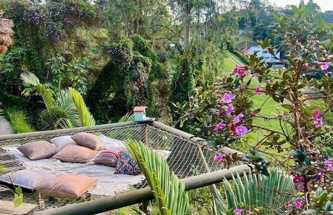 finca hotel zona 7 - Photo 1