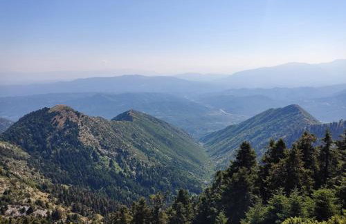 Charlami's Mansion -Παραδοσιακό Πέτρινο Σπίτι με Τζάκι και Πανοραμική Θέα - Foto 38