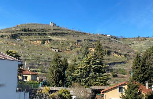 Bords du Rhone - Foto 2