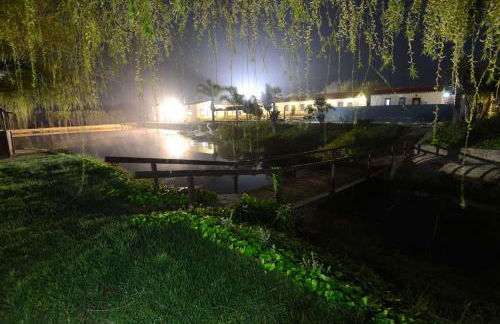 Herdade do Sardanito da Frente - Foto 34