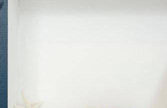 NEW Whaler Inn- Nautical Magic Hilo Downtown - Foto 14