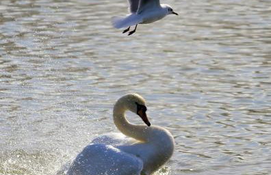 Seashell luxury apartment - Foto 28