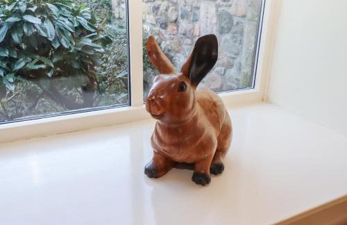 Bizzie Lizzie - Photo 8