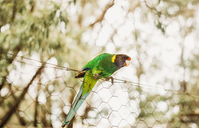 Margaret River Holiday Cottages - Photo 73