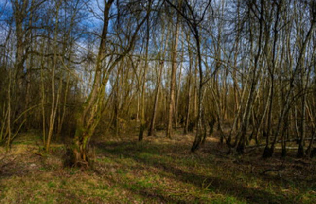 Wohnung im Teutoburger Wald Externsteine - Foto 36