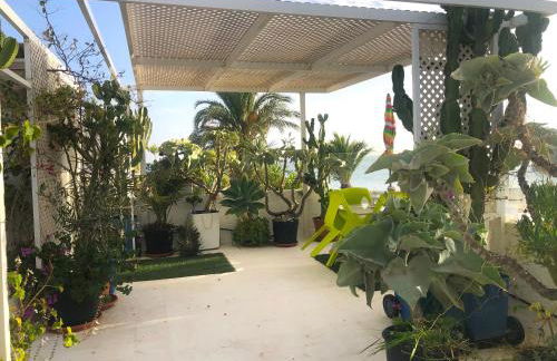 El Jardín del Camaleón - Foto 8