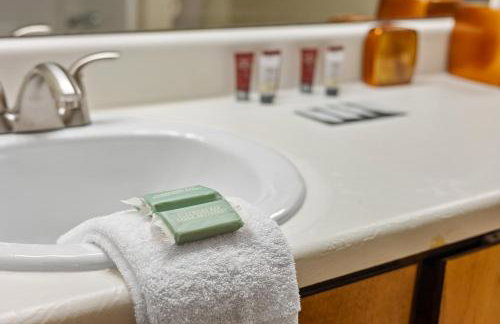 Spacious 3BR Retreat Near Summit Skyride & Stone Mountain Park - Foto 27