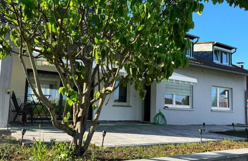 Villa Wolke - Ferienwohnung - Photo 15