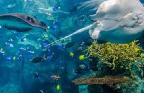 Beautiful Spacious 2 Bedroom, 2 Bathroom Condo - Foto 34