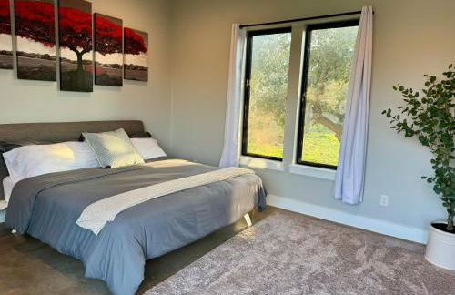 Upscale Modern Hill Country Home! Has it ALL! - Foto 65