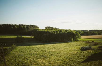 Agroturystyka u Miłosza - Foto 14