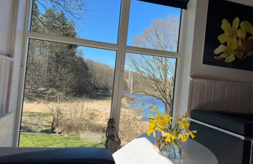 foresthaus - Foto 15