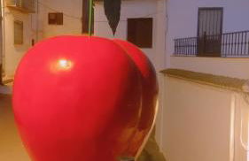 Casa Castillo - Foto 18