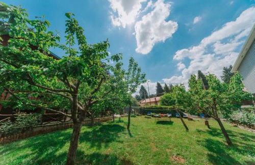 Casa della Montagna - Baita delle Rondini - Foto 9