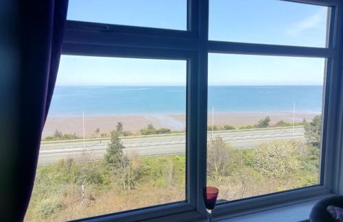 Llys Madoc, The Top Flat - Foto 17