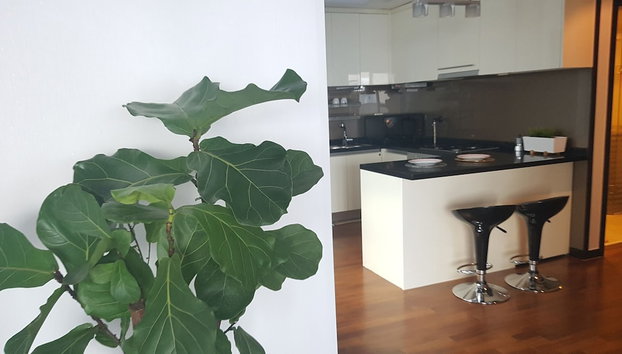 Magellan 21 Asterium - Foto 5, Servicio de comidas en la habitación